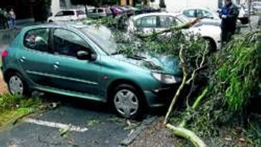 El temporal provoca destrozos en varios vehículos aparcados
