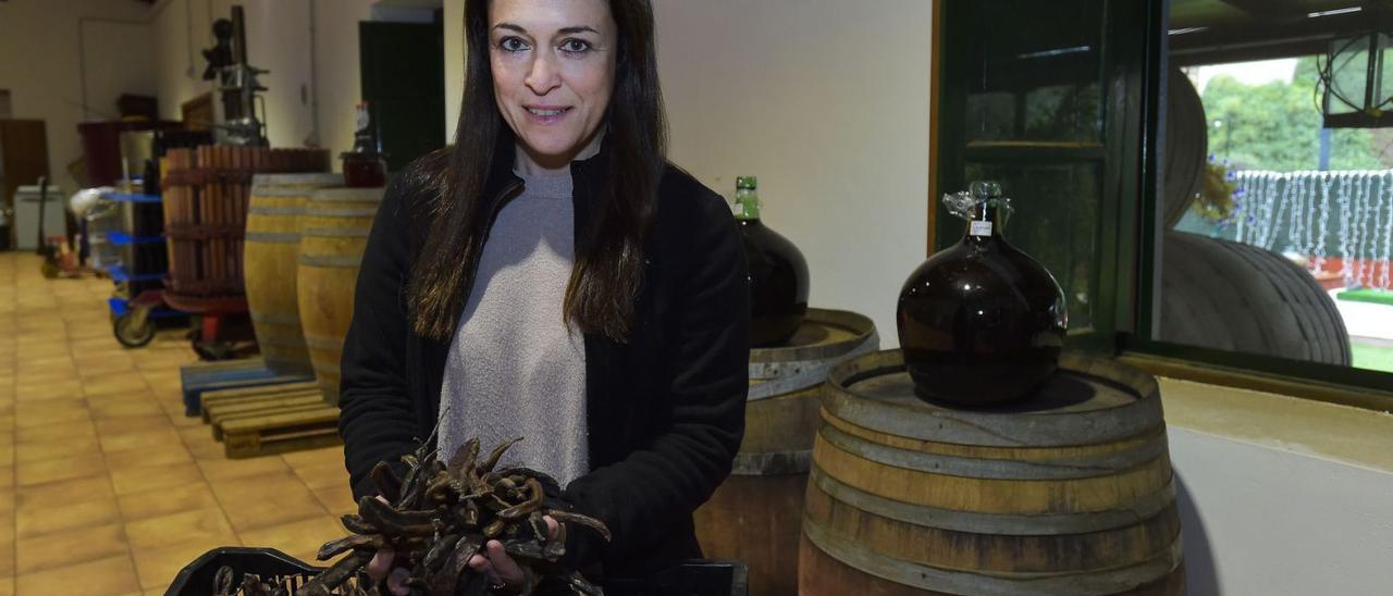 Cristina Millán saca  las algarrobas de una cesta de la finca  El Mocanal donde ya se macera el licor en las damajuanas . | | ANDRÉS CRUZ