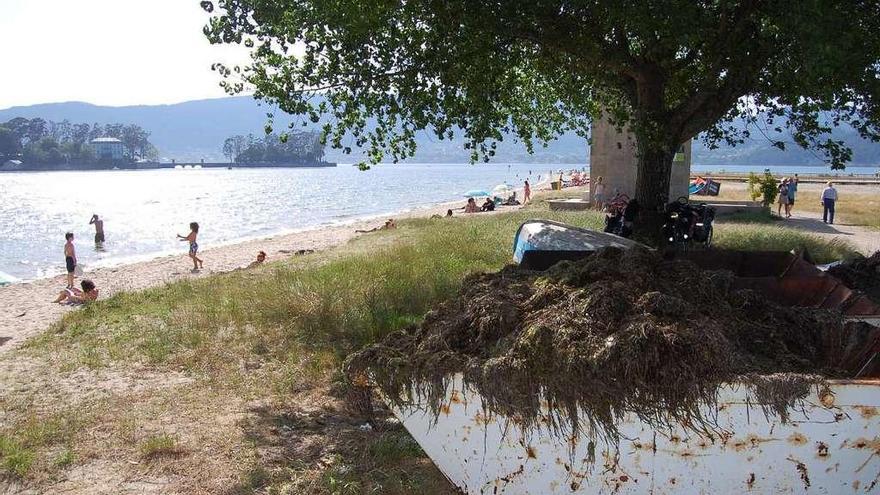 Los contenedores de algas de la playa de Cesantes, en primera línea, con los bañistas al fondo. // FdV