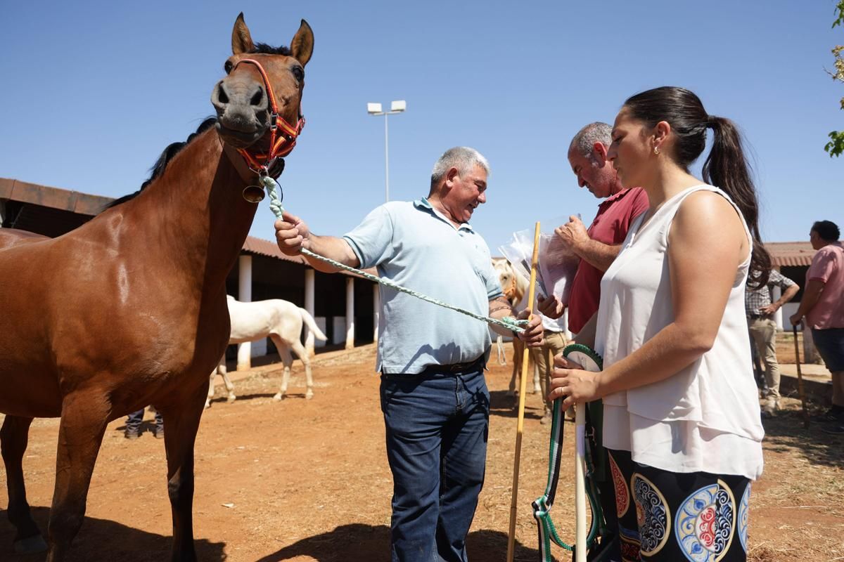 Fotogalería | Así se ha desarrollado la feria equina de Cáceres