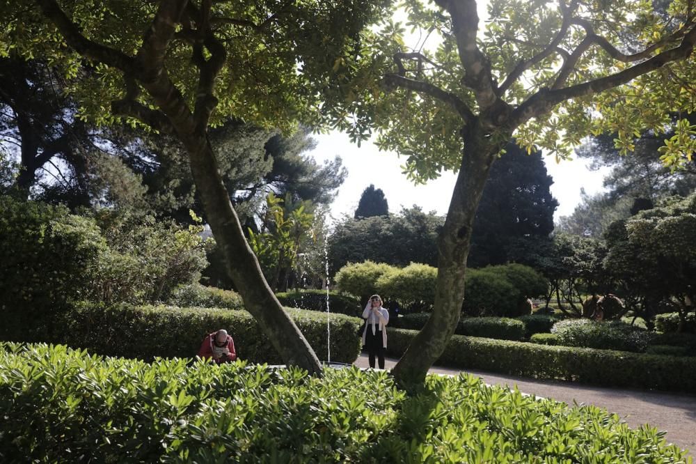 Primer día de apertura de los jardines de Marivent