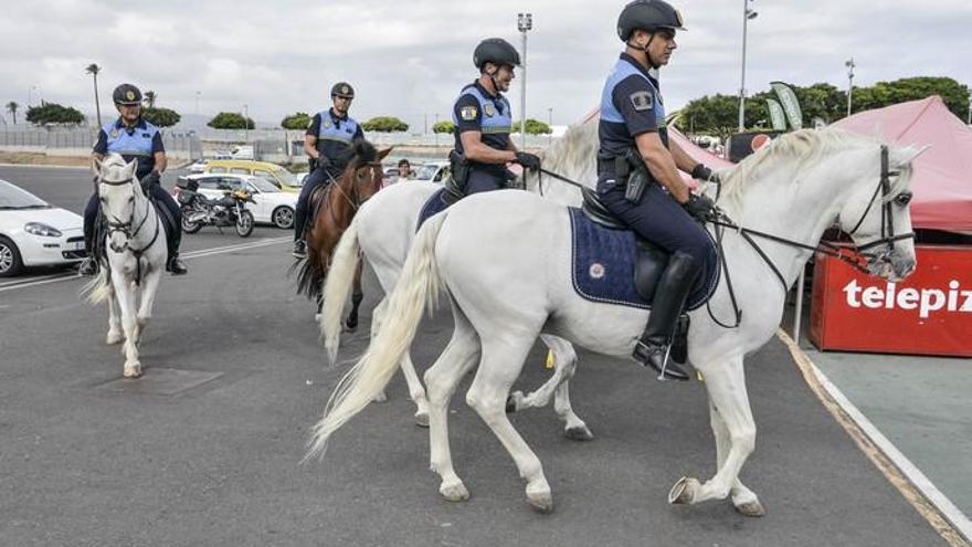 Nuevo servicio a caballo de la Policía Local de Las Palmas de Gran Canaria