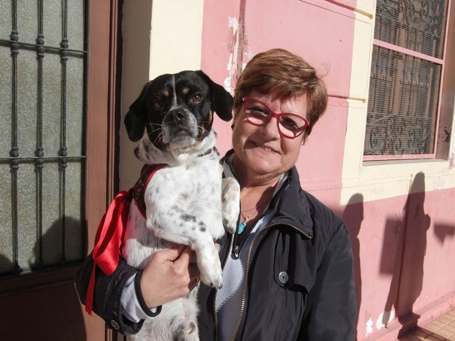 Los vecinos de Cartagena se han acercado junto a sus mascotas a recibir la bendición