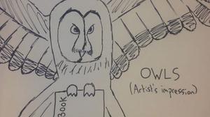 La llibreria Waterstones proposa fer servir mussols per als seus enviaments davant els ’drones’ d’Amazon.