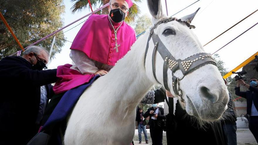 Munilla entra en Orihuela a lomos de una mula