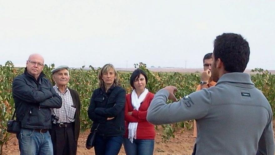 Un grupo de turistas visita Toro. |