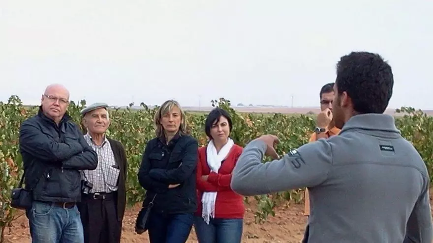 El fin de la vendimia, "momento perfecto" para el enoturismo en Toro