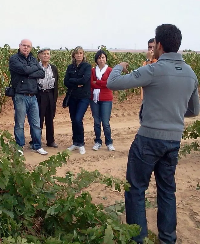 El fin de la vendimia, "momento perfecto" para el enoturismo en Toro