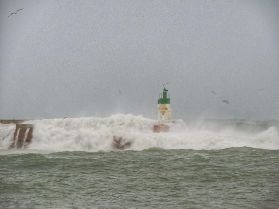 Temporal a Sant Feliu de Guíxols.