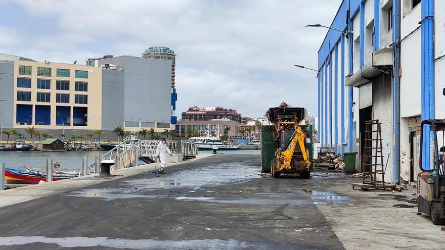 Un producto químico alivia al Puerto de Las Palmas del mal olor causado por el pescado podrido