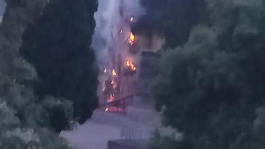 Susto en el Parque Infantil de Badajoz: prenden fuego a un árbol y tienen que acudir los bomberos