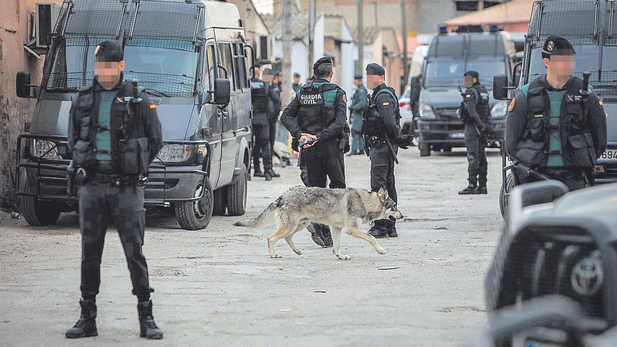 Un perro se pasea ante efectivos de las unidades de élite de la Guardia Civil en Son Banya.