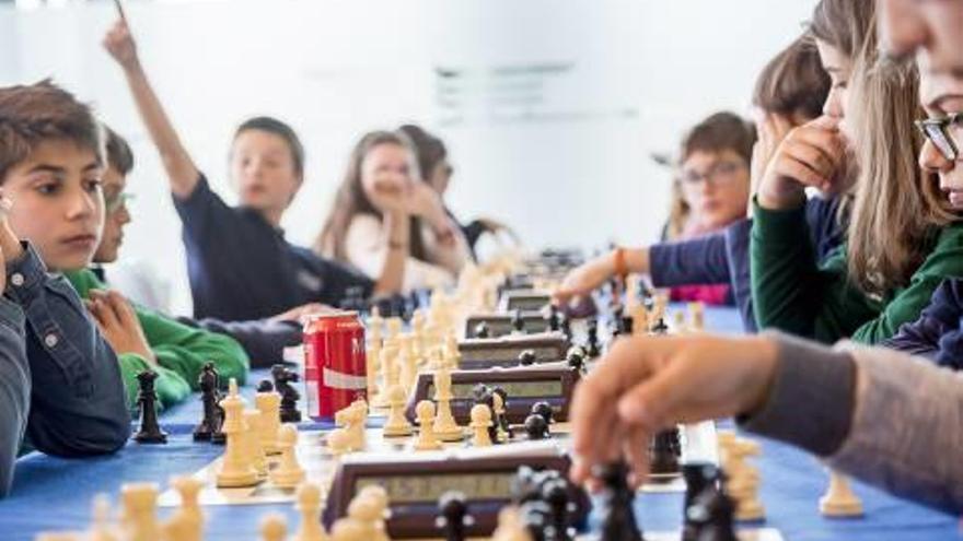 Más de 200 ajedrecistas se dan cita en Benidorm