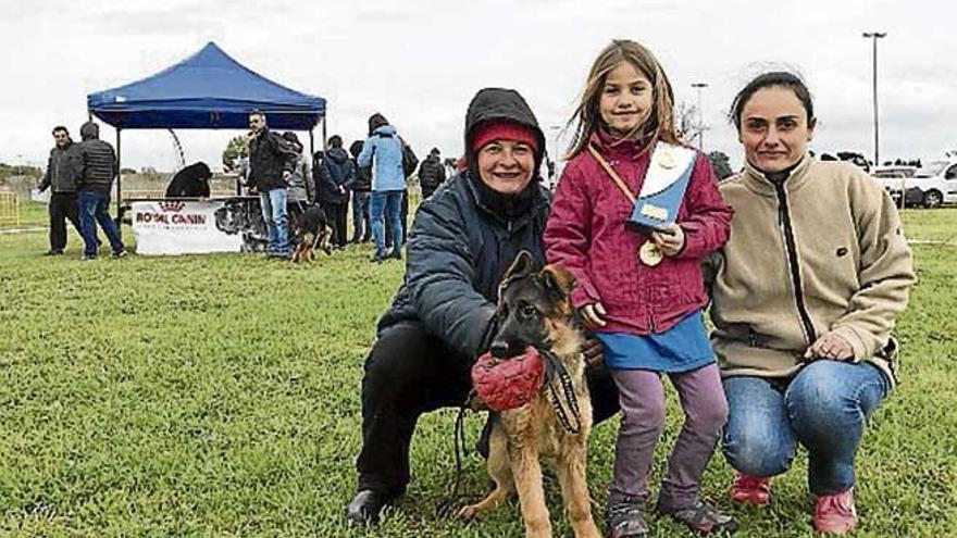 El perro pastor alemán se exhibe