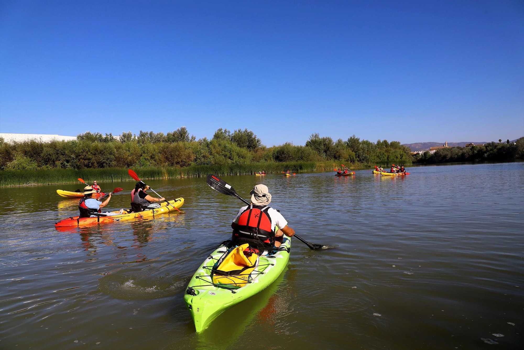 Paseos en kayak por el róio Guadalquivir