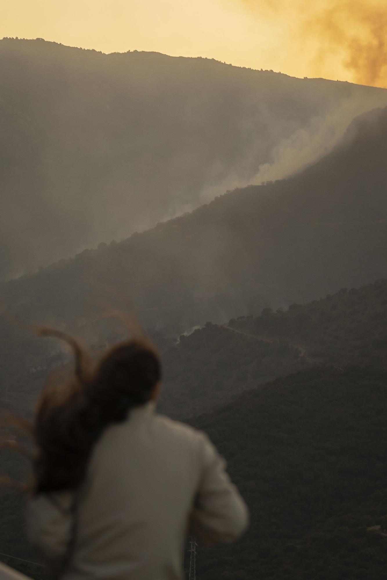 Un incendi sense control atiat per la tramuntana alerta Portbou