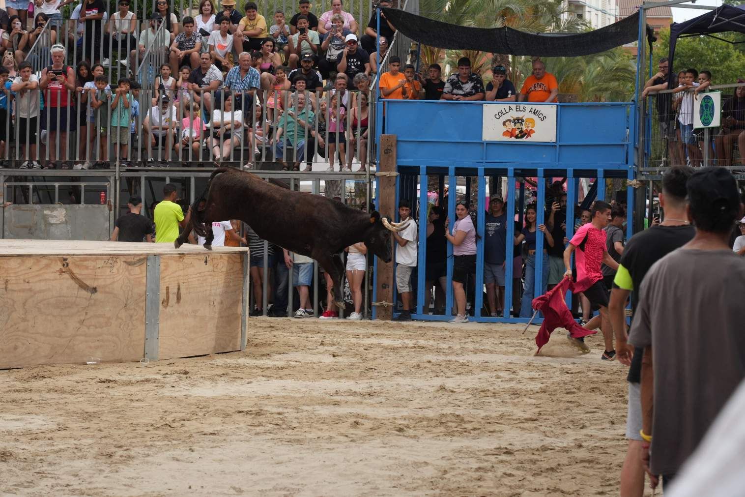 El Grau da inicio a las fiestas de Sant Pere con pólvora, bous y música