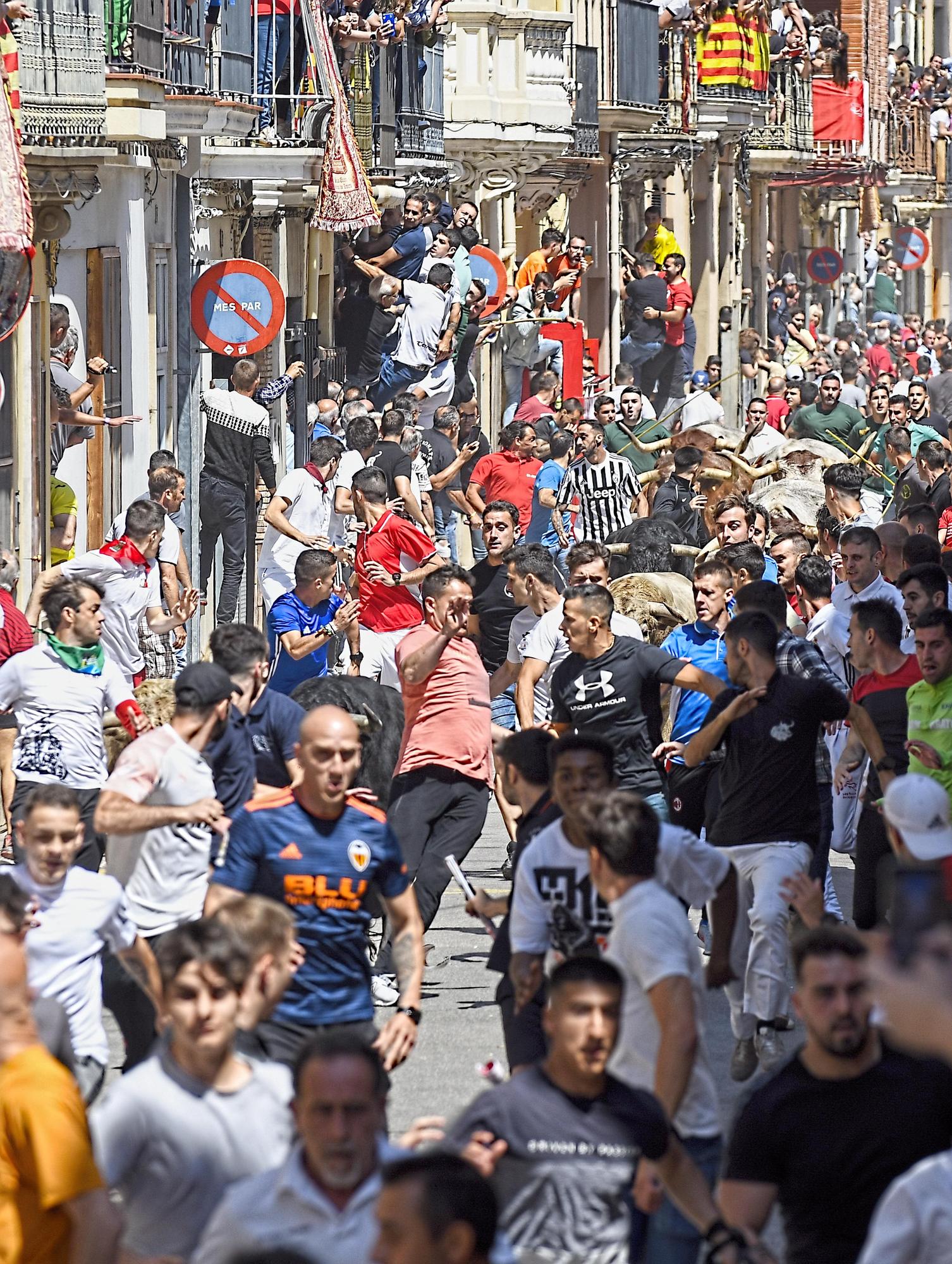 MACROGALERÍA DE FOTOS: Búscate en el encierro y los primeros 'bous' de las fiestas de Almassora