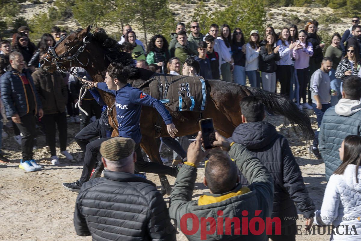 Los Caballos del Vino de Caravaca calientan motores