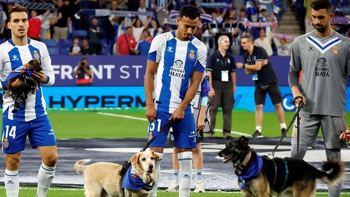 Brian Oliván, Omar y Pacheco, junto a unos perros, el sábado pasado antes del partido ante el Valladolid en el Stage Front Stadium