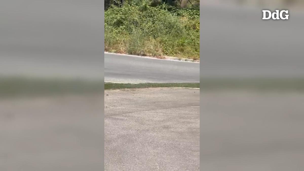 Vídeo: Alerten de vessaments d'aigües residuals al Mas Nou que podrien contaminar aqüífers i rieres