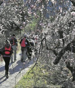 Senderistas realizando una ruta.