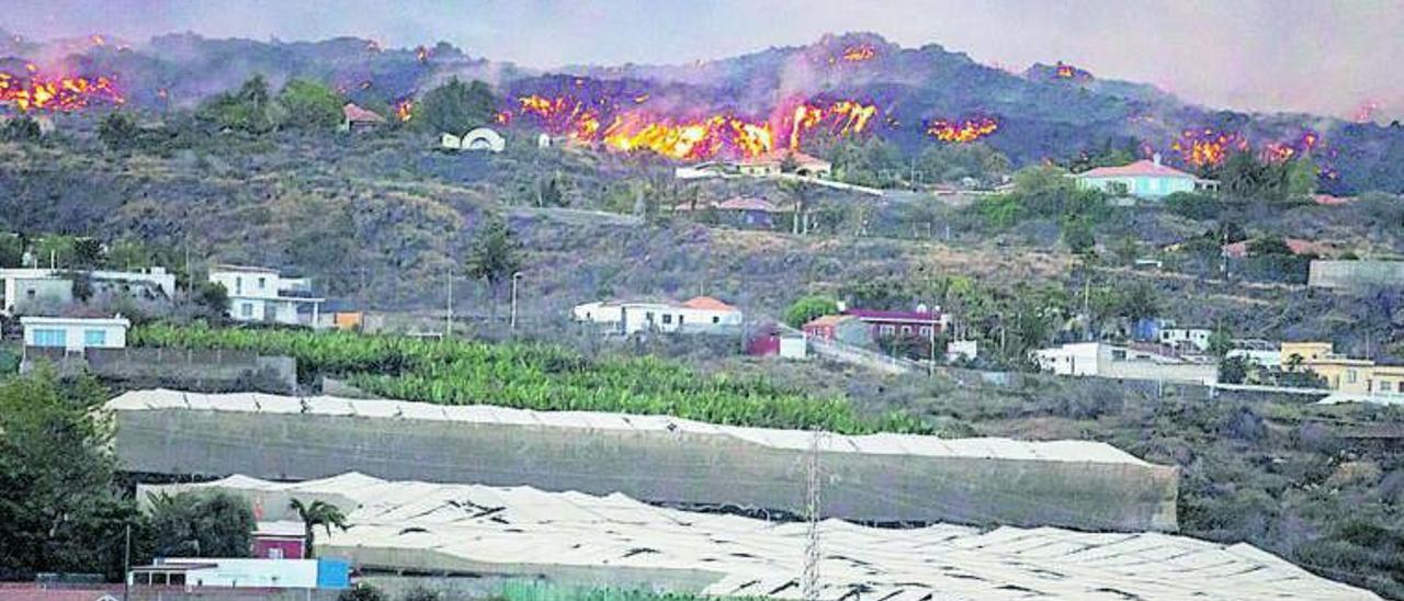 Vista de la erupción volcánica de La Palma y la destrucción de la lava a su paso por casas, invernaderos y plataneras. | | E.P.