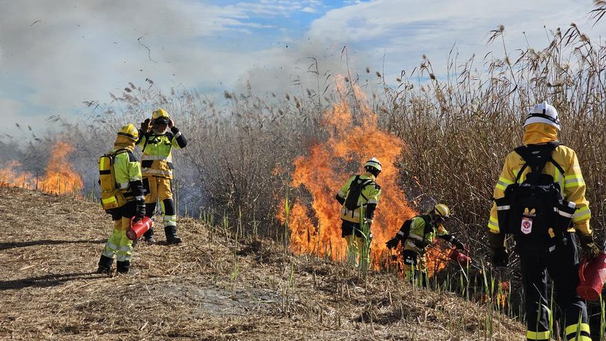 El Consell quemará 408 hectáreas de carrizales en cinco años para combatir vegetación invasora en el parque natural de El Hondo en Elche y Crevillent