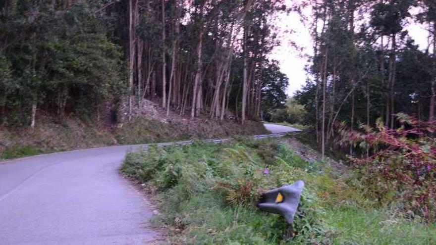 Los márgenes de la carretera de O Valado están sin desbrozar. // G.N.