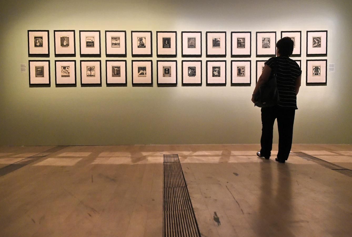 Planes para la semana 5, exposición de Escher