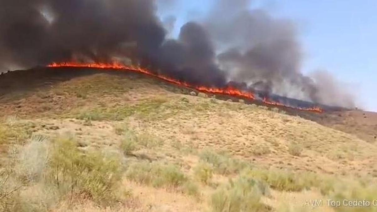 Incendio declarado en Cómpeta.