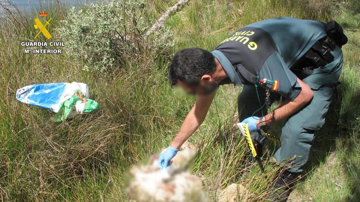 Fotografía de la toma de muestra del Seprona