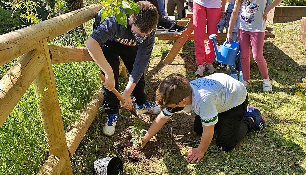 Escola Valenciana repartix un milió de llavors en les ReTrobades