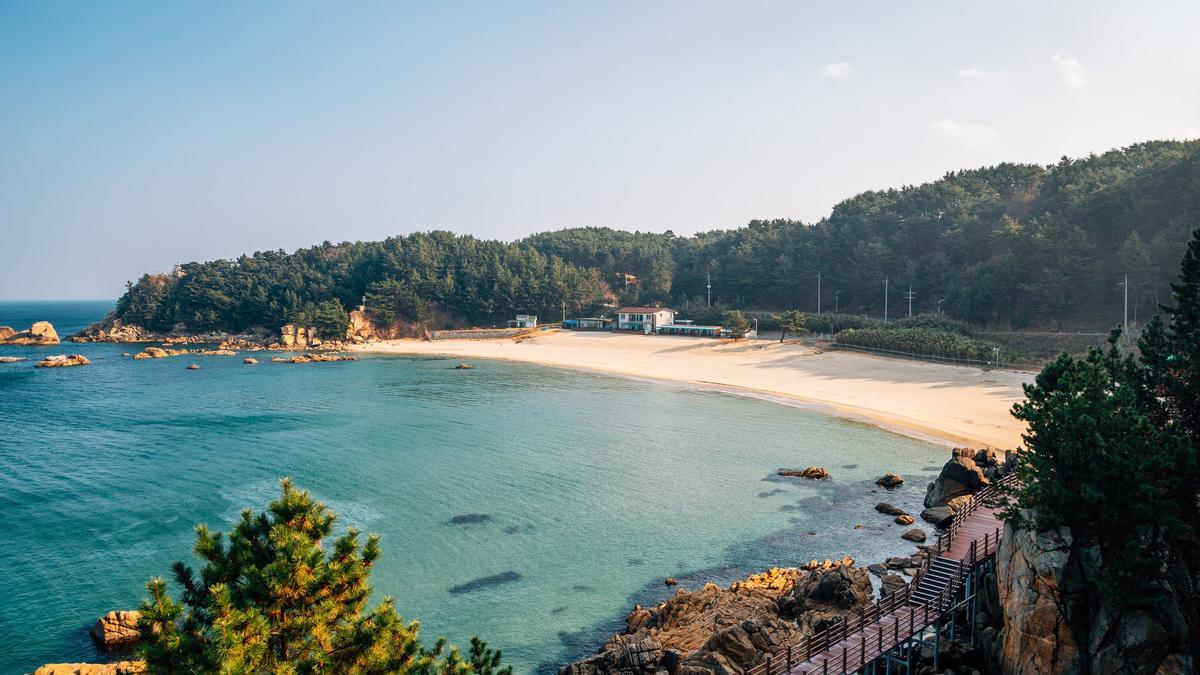 Surf, Corea del Sur