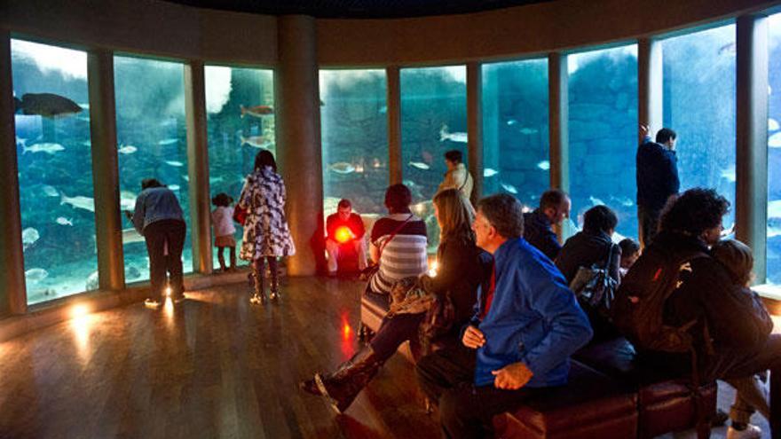 Sala Nautilus, en el Aquarium de A Coruña. / F.Martínez