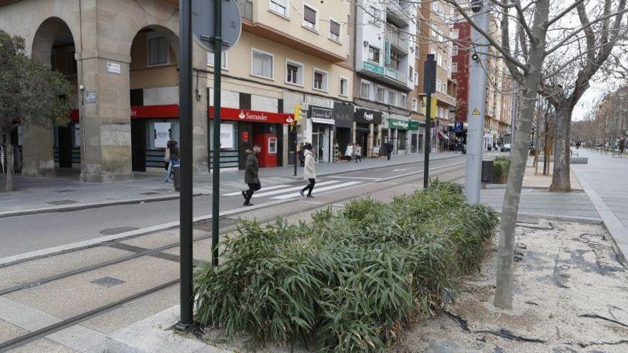 Un hombre, detenido en Zaragoza por una presunta violación