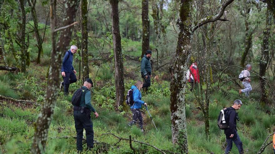Galería | Dispositivo de la gran batida para localizar a José Antonio en Jarandilla de la Vera