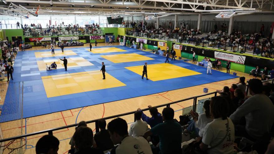 Diez medallas para Galicia en Navia