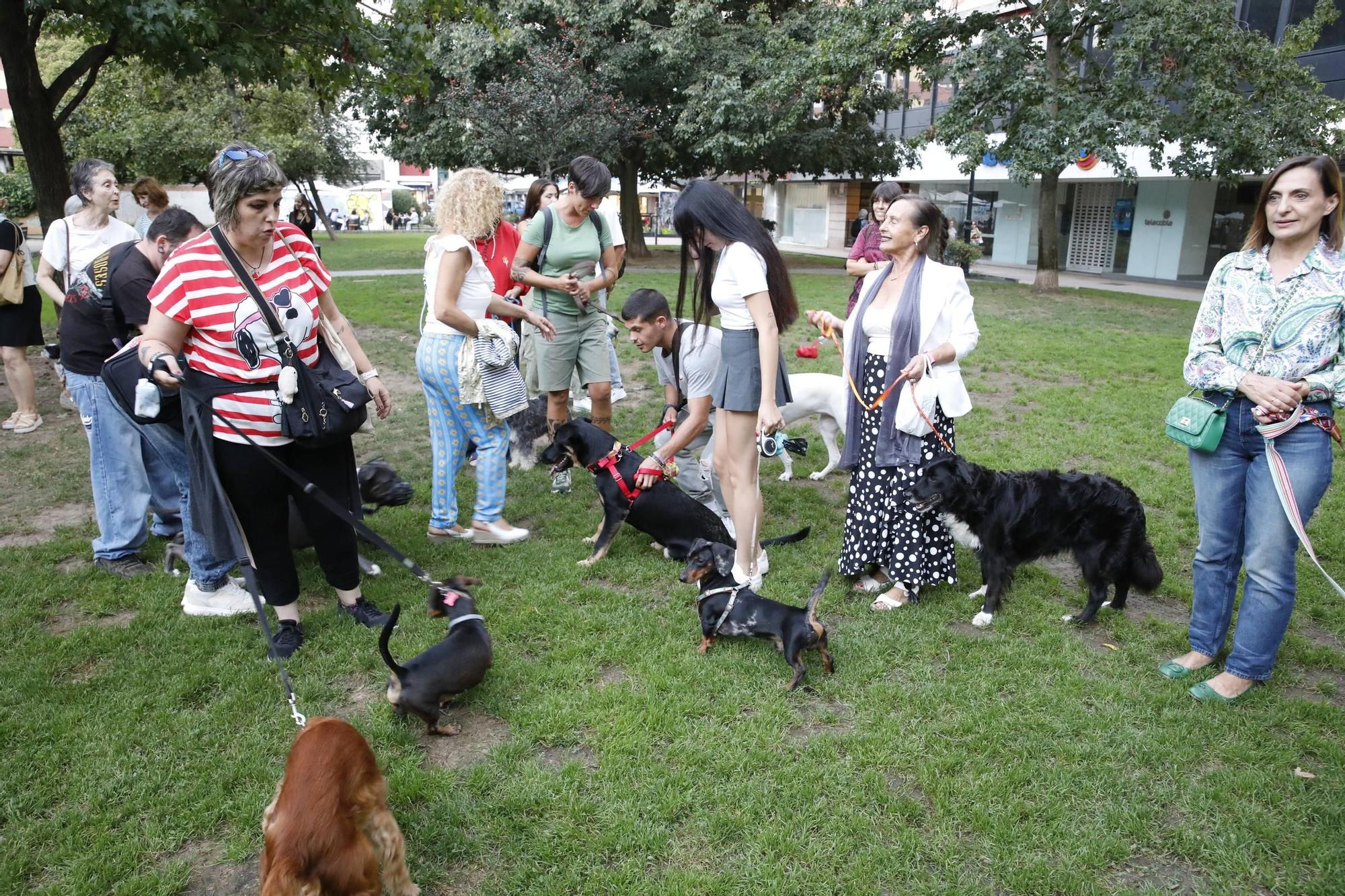 La Arena pide espacio para sus perros