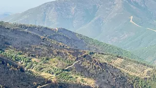 Sofocar los incendios en Las Hurdes: no al modelo "arcaico", sí al paisaje más diverso