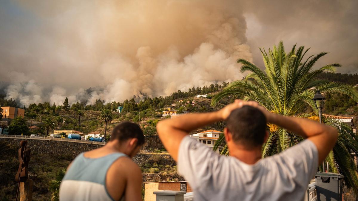 Los recursos de emergencia trabajan en el incendio forestal de La Palma