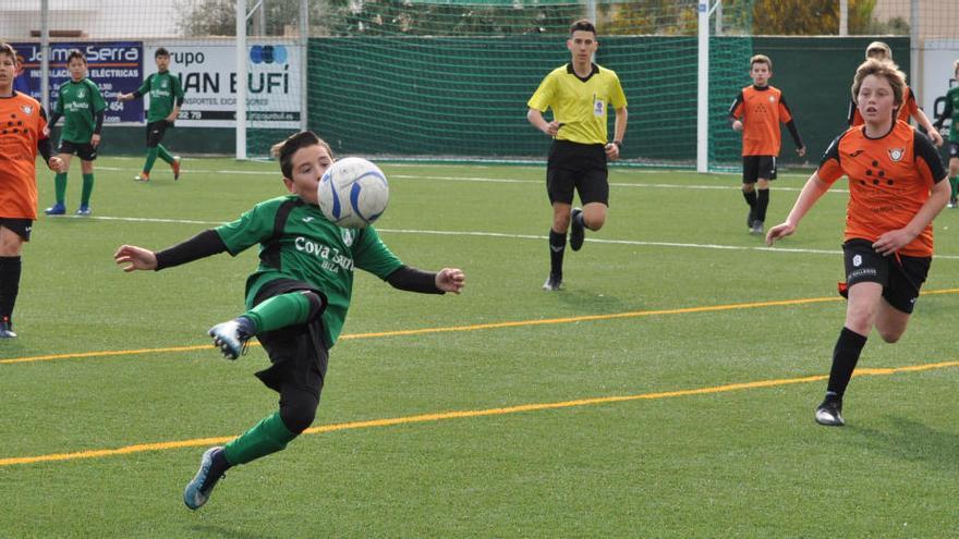 Una imagen de un partido de fútbol de categoría de edad escolar.