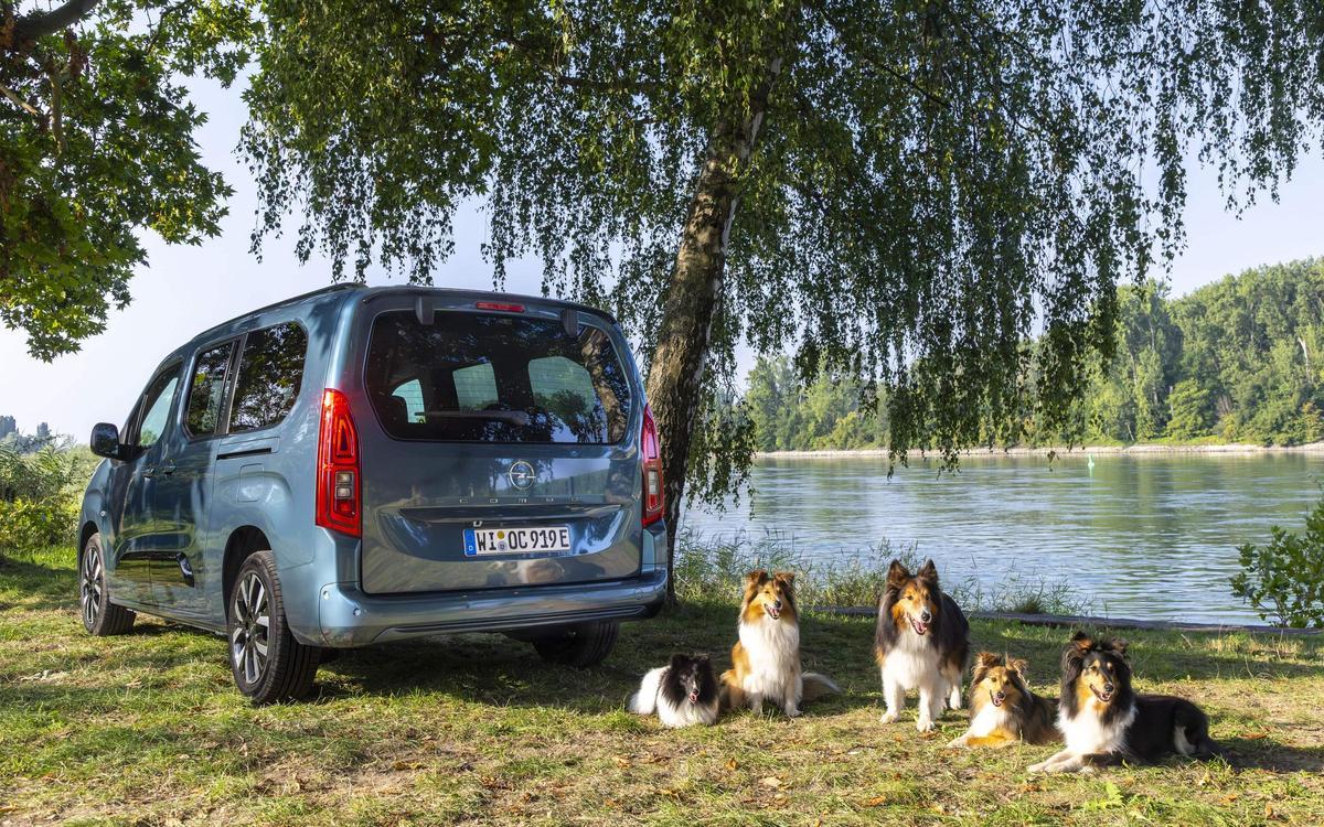 Opel Combo Electric: Ideal para viajar con tu mascota