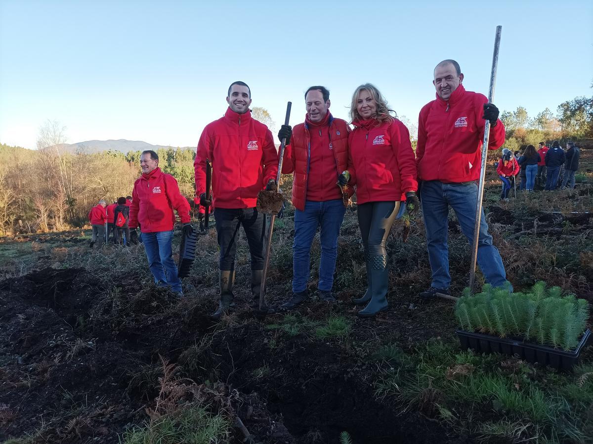 Voluntarios trabajando en la reforestación de Carballedo