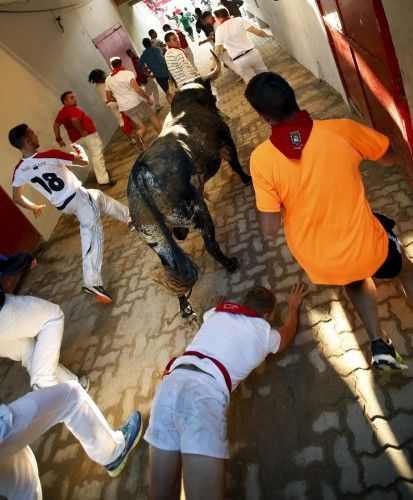 A runner falls behind a Conde de la Maza fighting bull at the entrance to the bullring during the sixth running of the bulls of the San Fermin festival in Pamplona