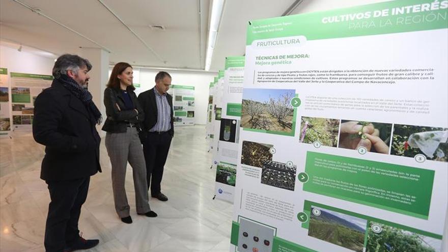 Cicytex expone las investigaciones de una década con fondos Feder