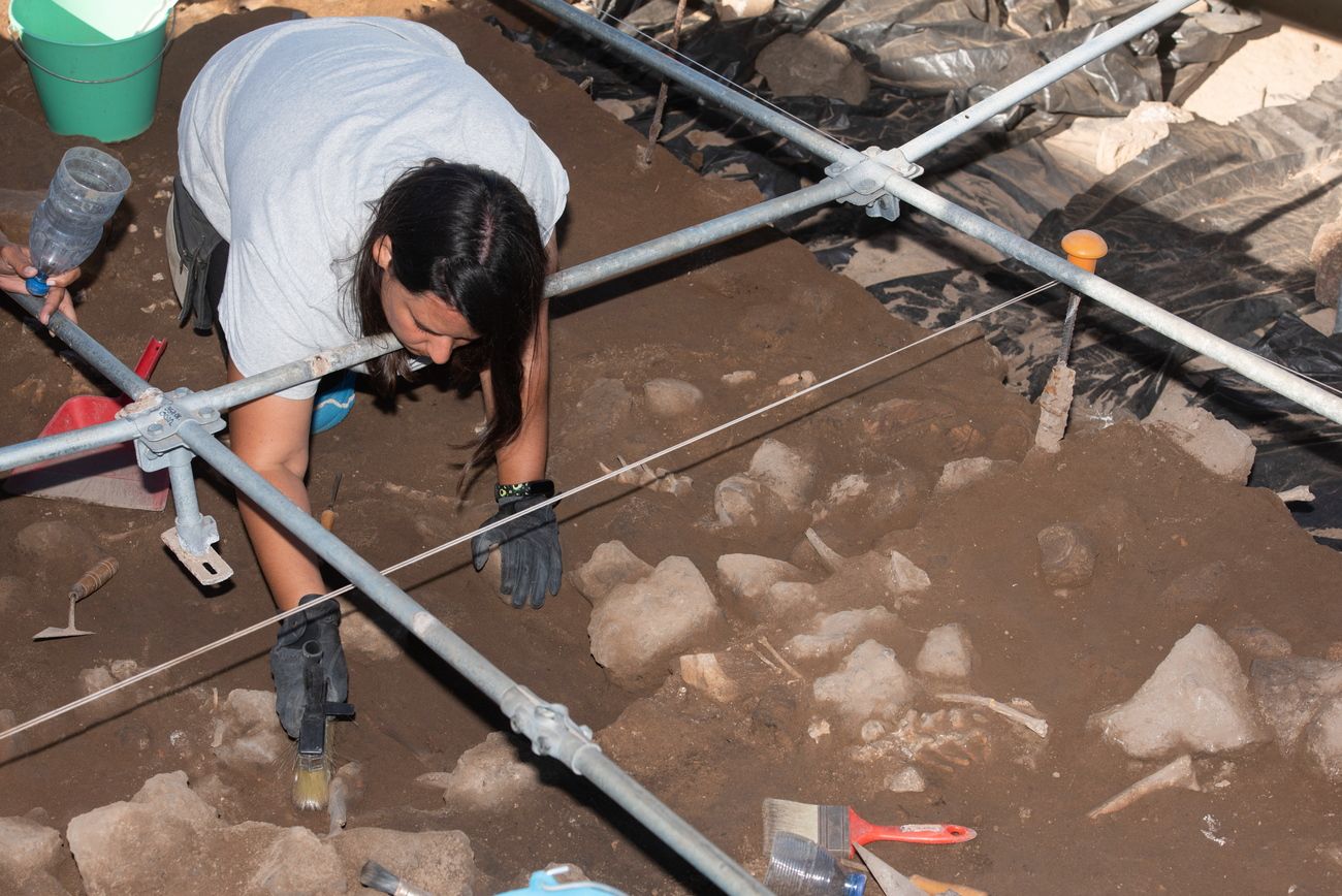 Retoman los trabajos en el yacimiento arqueológico Lobos I