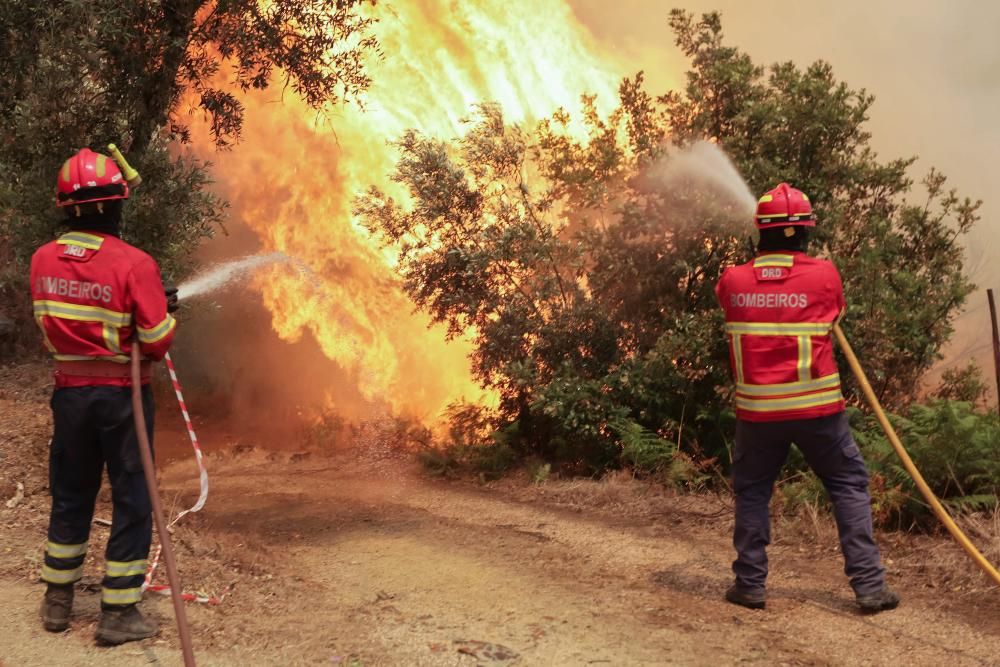 Incendio de grandes dimensiones en el centro de Portugal.