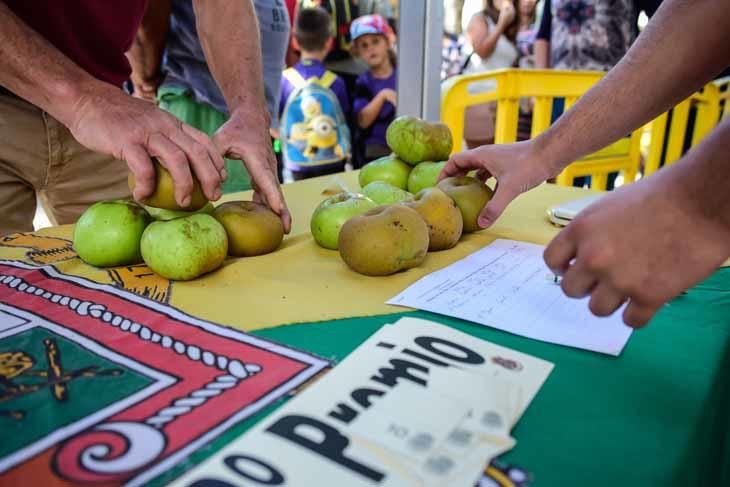 Fiesta de la manzana de Valleseco