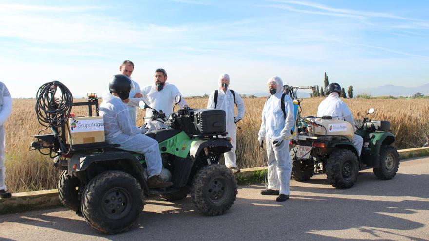 El Consell refuerza la lucha contra los mosquitos en Castelló con solo 12 personas